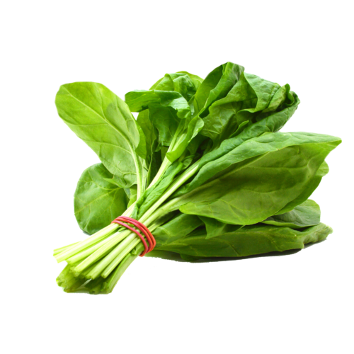 Basil – Per 100g